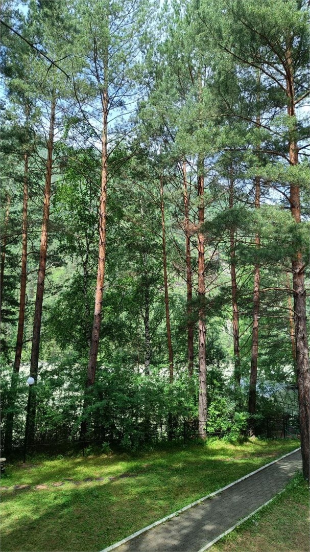 ЛЮКС  № 2 - фото 4