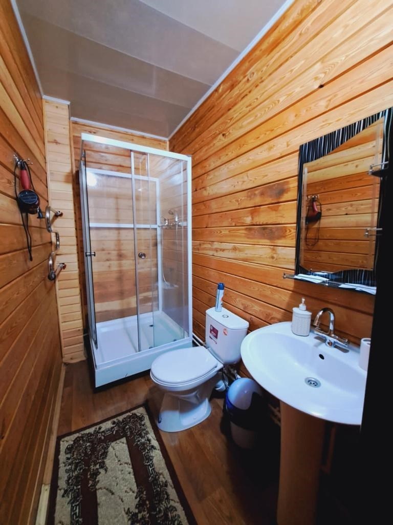 № 5, 6  ЛЮКС К+  миниотели   №1,2 - фото 3