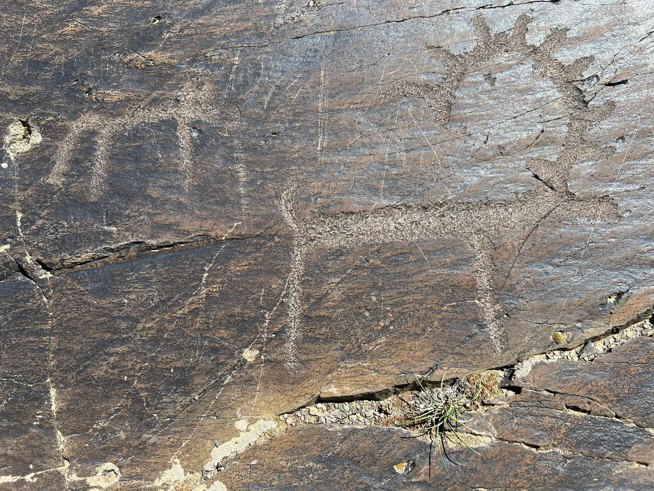 Петроглифы Жалгыс-Тобе - фото 3