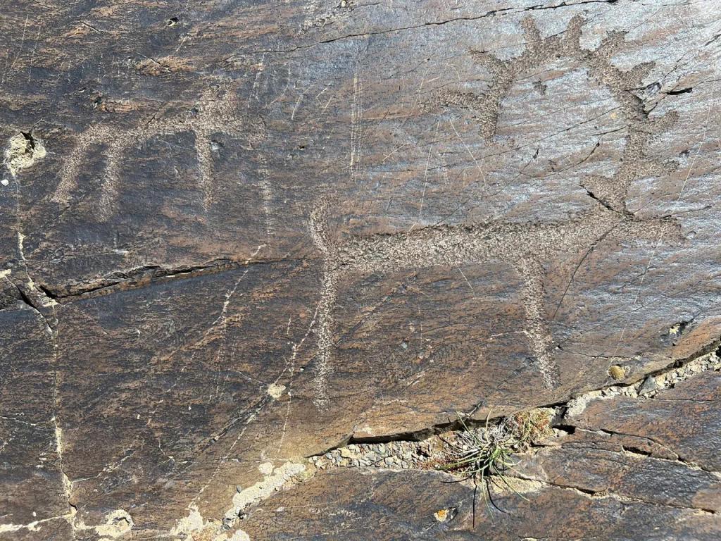 Петроглифы Жалгыс-Тобе - фото 3