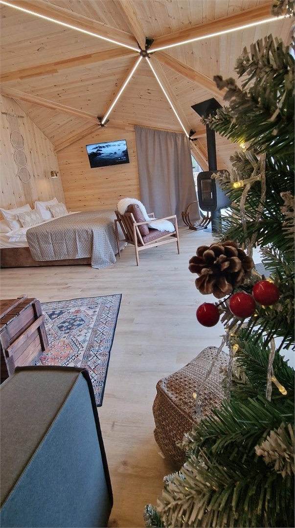 №13| Шишка-дом с камином - фото 10