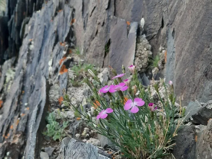 Петроглифы Жалгыс-Тобе - фото 5