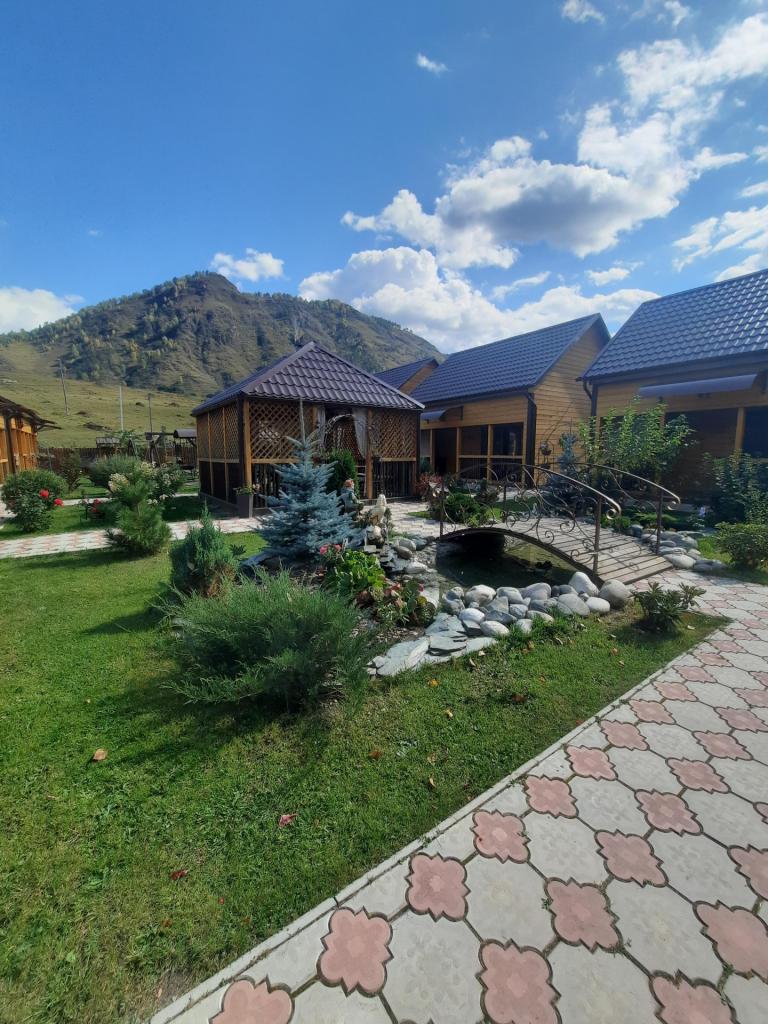 Дача-удача - фото 7