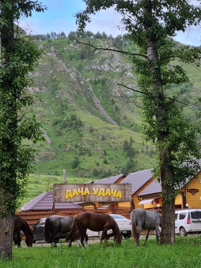 Дача-удача - фото 9