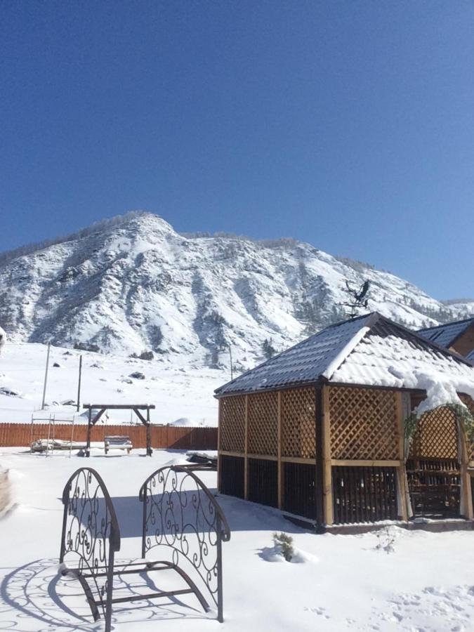 Дача-удача - фото 16