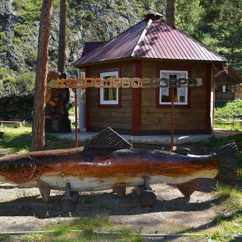 Горный Источник - фото 48