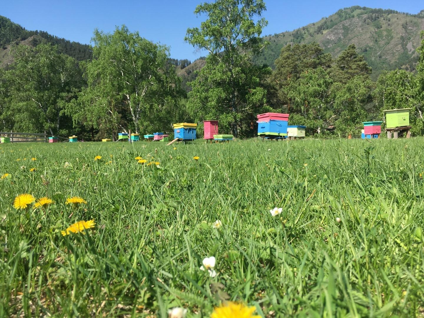 Горный Источник - фото 50