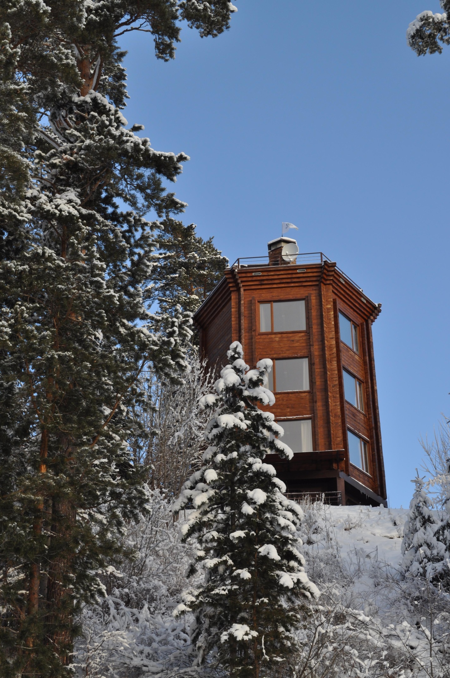 Урочище Актра - фото 7