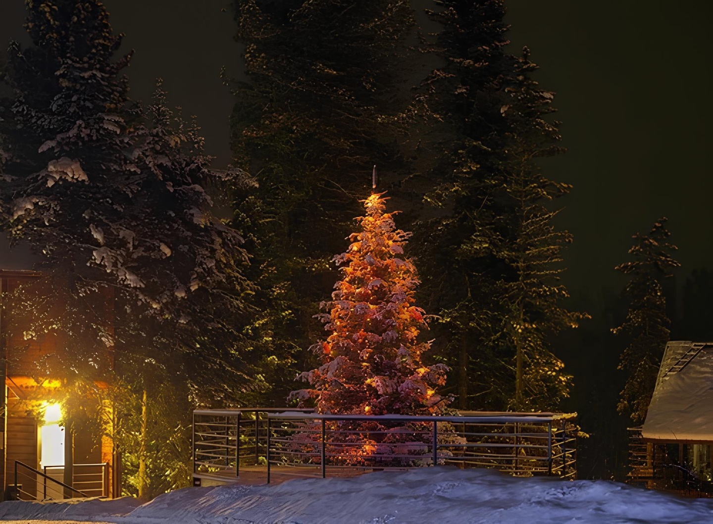 Урочище Актра - фото 15