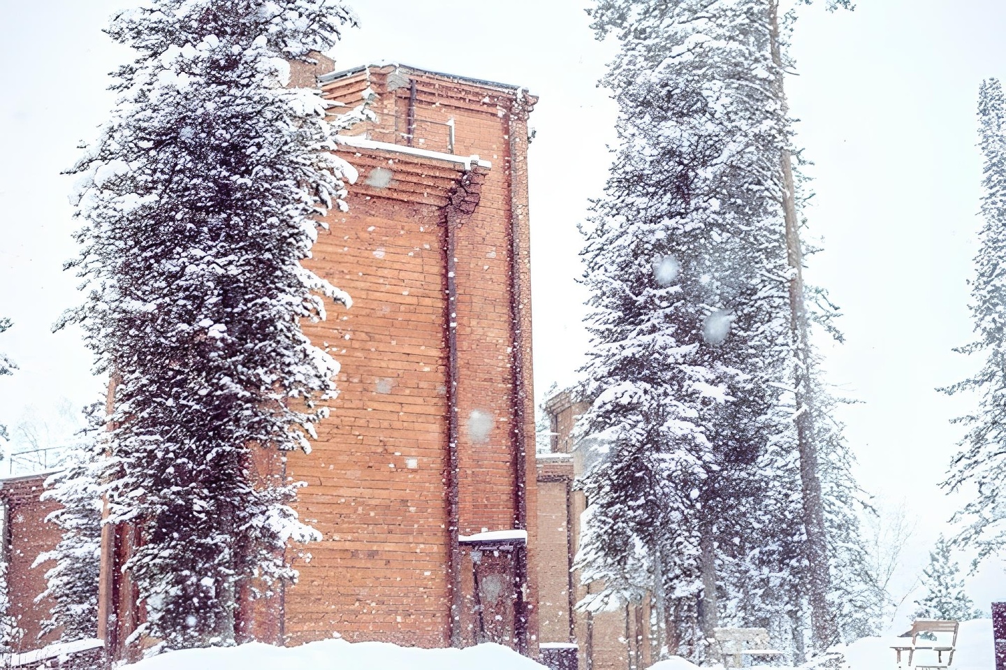 Урочище Актра - фото 16