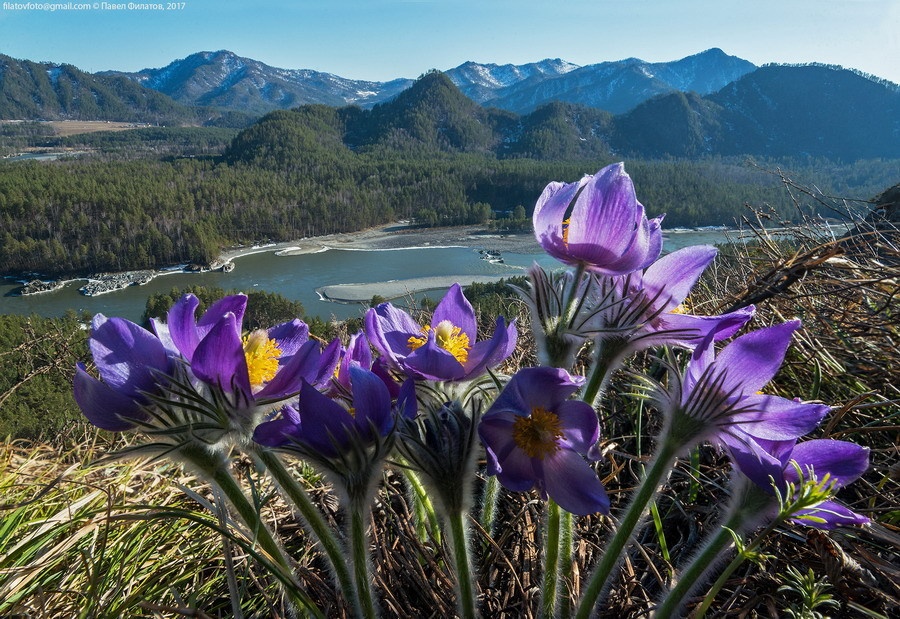 Урочище Актра - фото 25