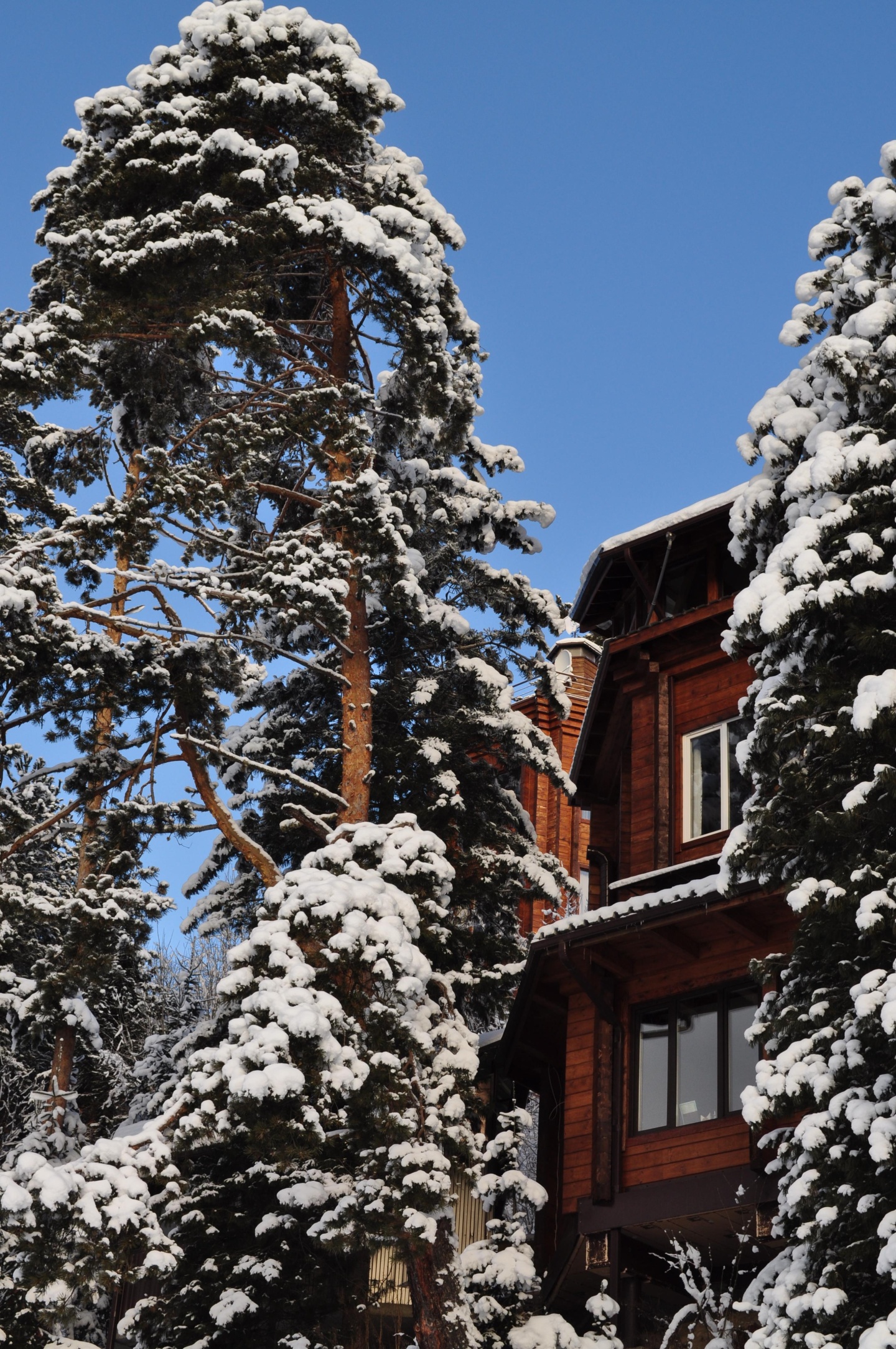 Урочище Актра - фото 29