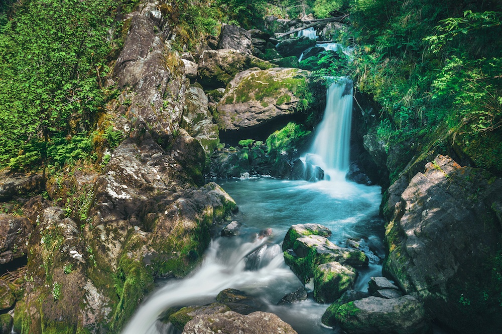 Урочище Актра - фото 31