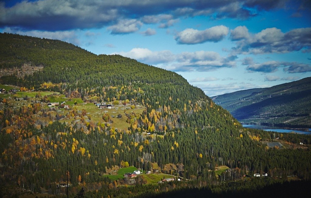 Урочище Актра - фото 37