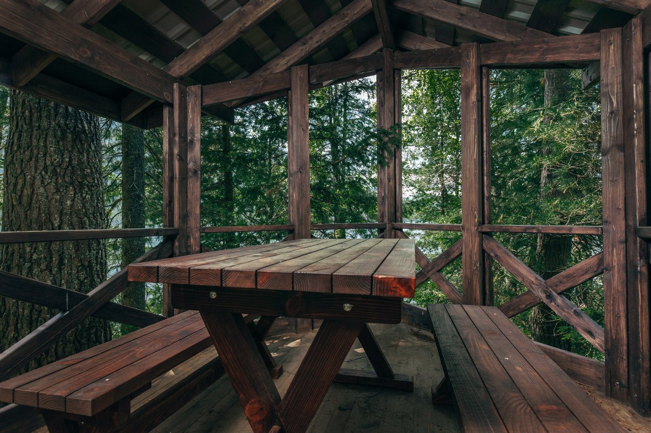 Урочище Актра - фото 40