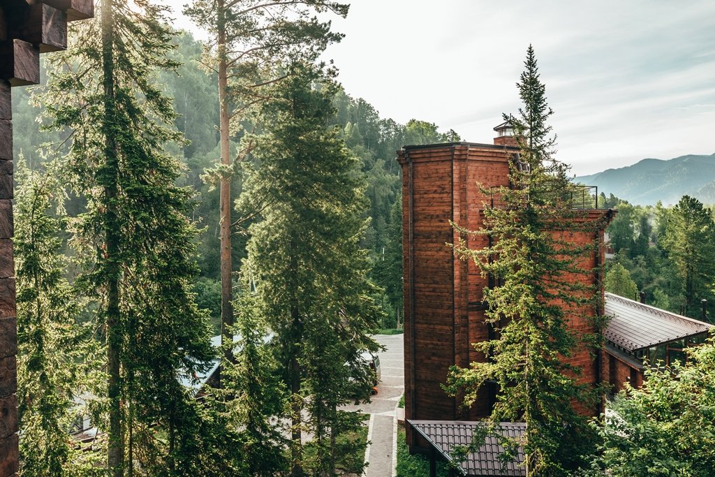 Урочище Актра - фото 42