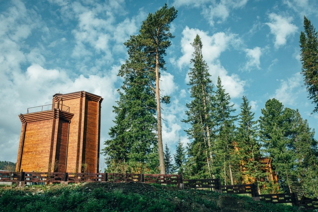 Урочище Актра - фото 49