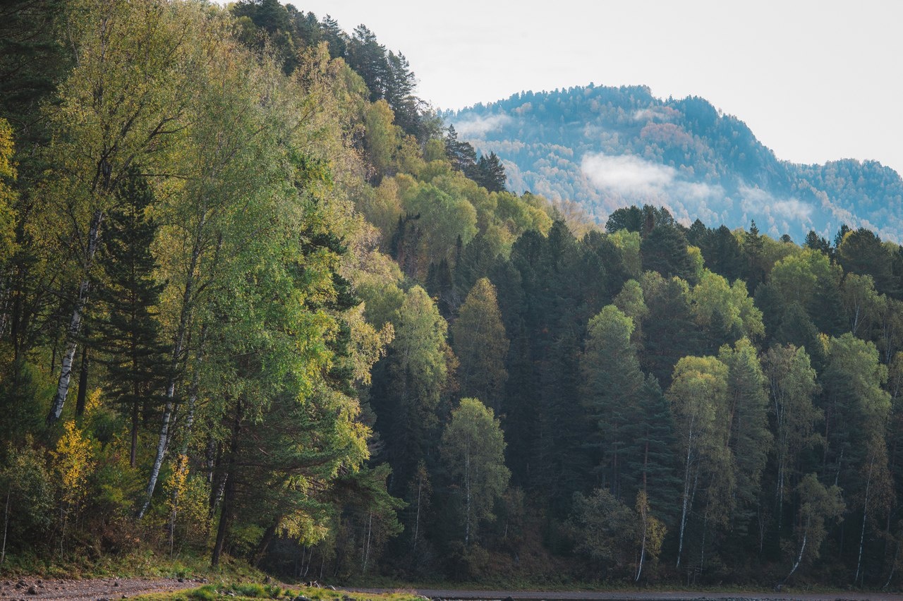 Урочище Актра - фото 50