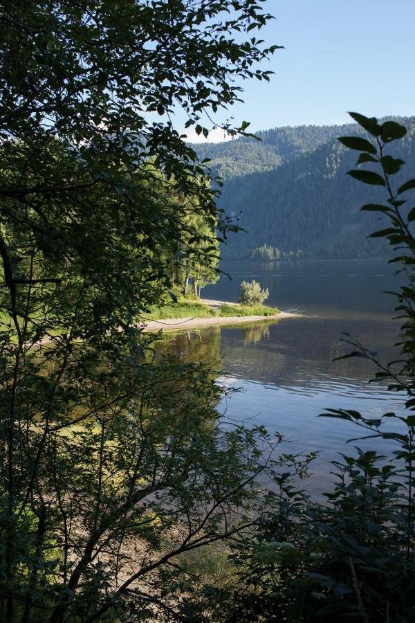 Урочище Актра - фото 71