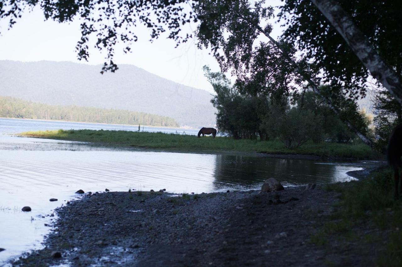 Урочище Актра - фото 94