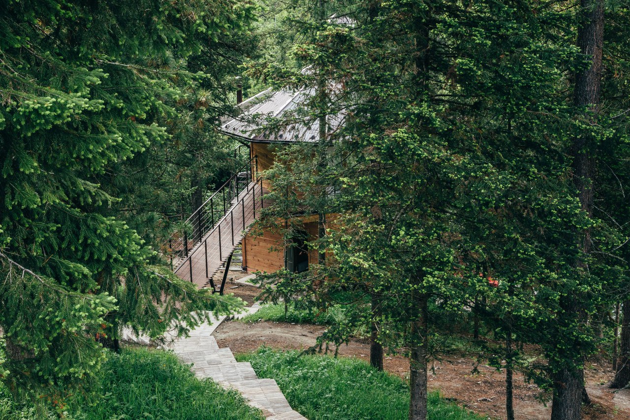 Урочище Актра - фото 96