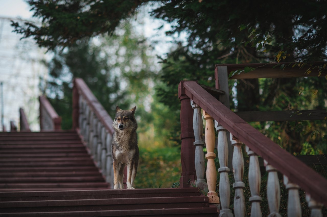 Урочище Актра - фото 102