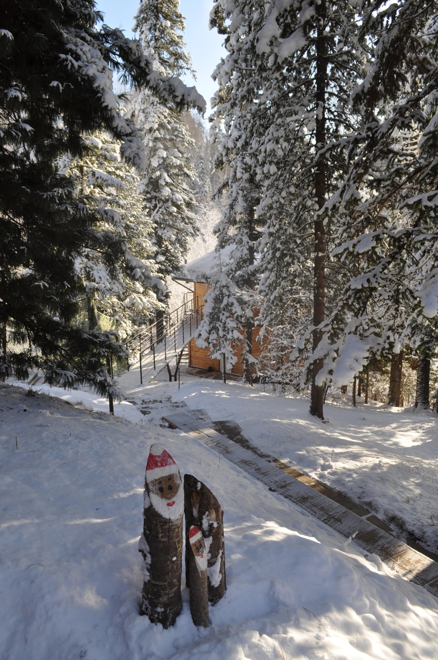 Урочище Актра - фото 103