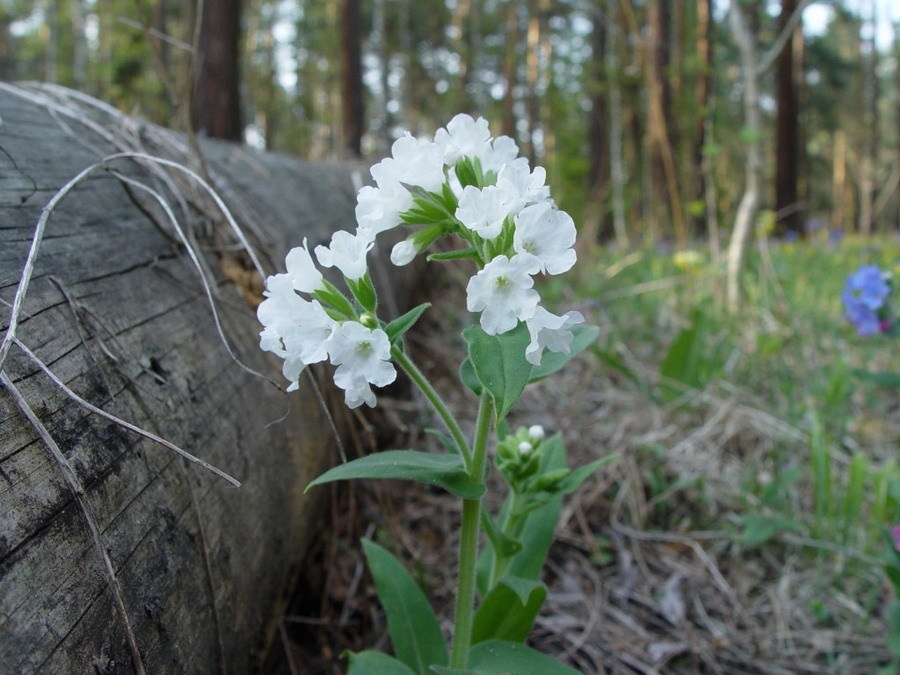 Урочище Актра - фото 112