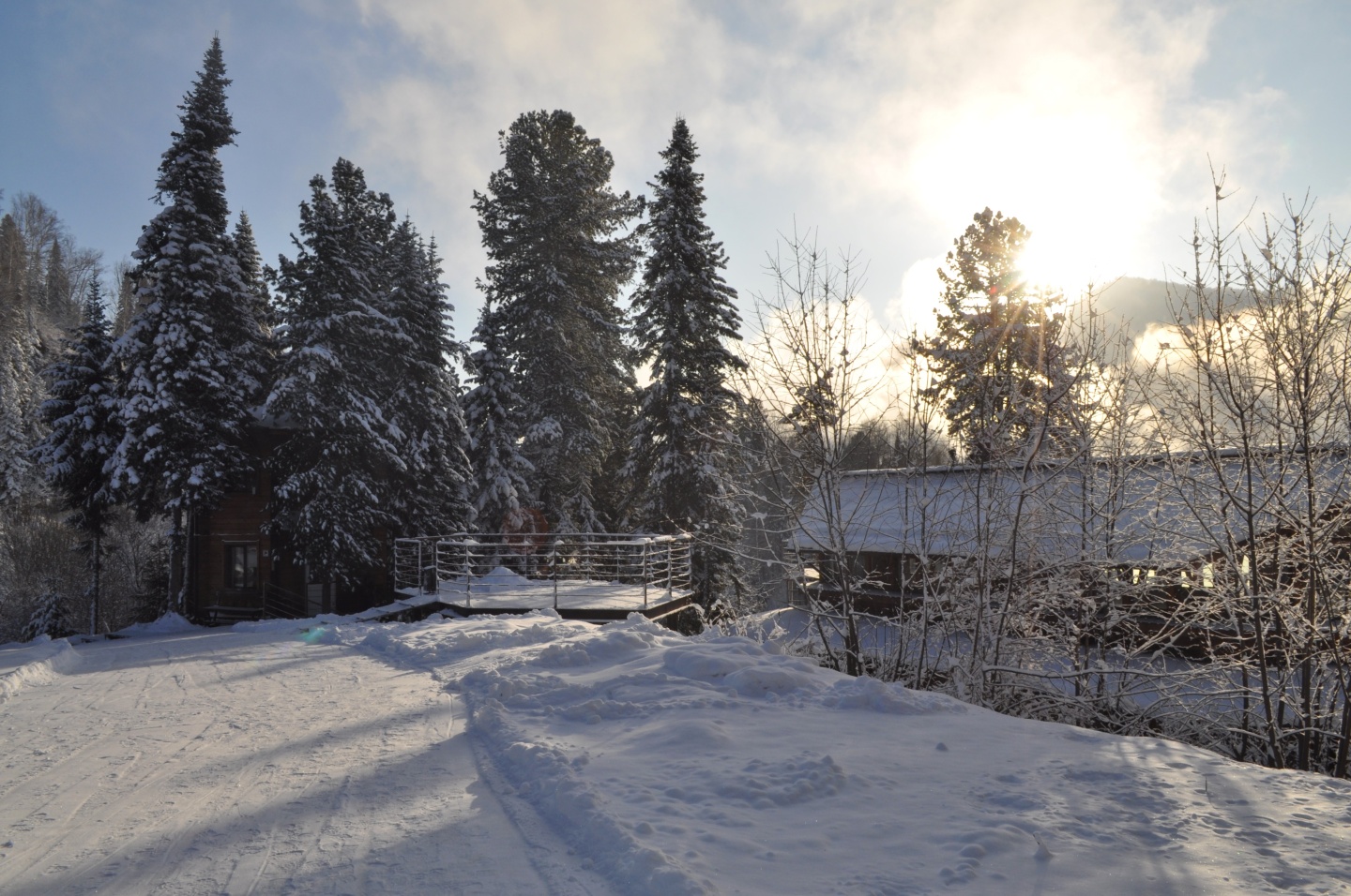 Урочище Актра - фото 123