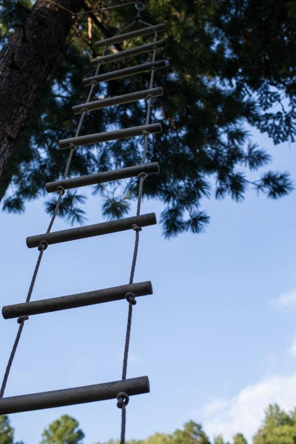 Урочище Актра - фото 128