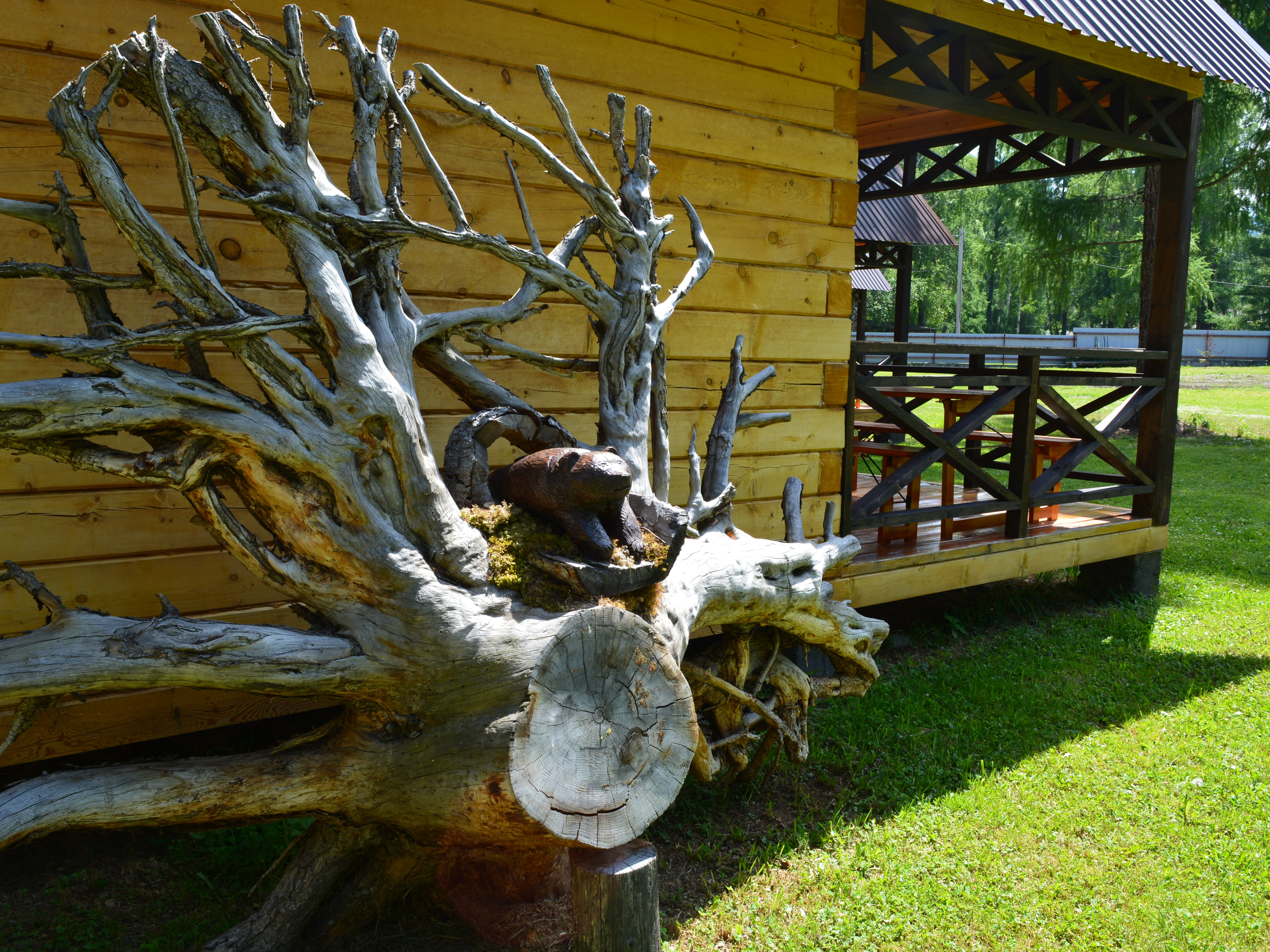 Туристический комплекс "Вершина Алтая" - фото 3