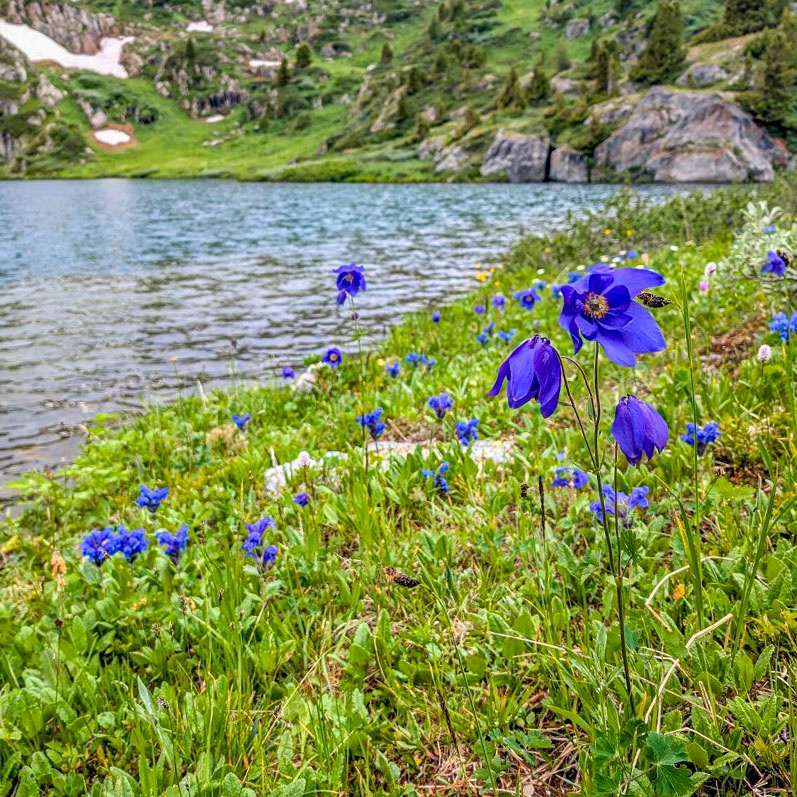 Уймон-Парк - фото 21