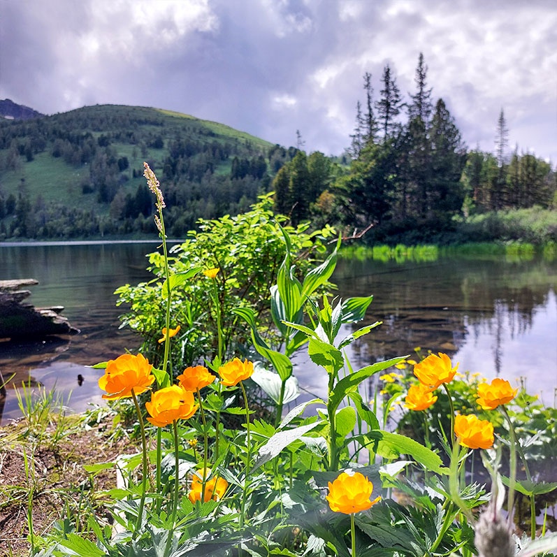 Уймон-Парк - фото 23