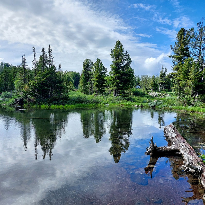 Уймон-Парк - фото 24