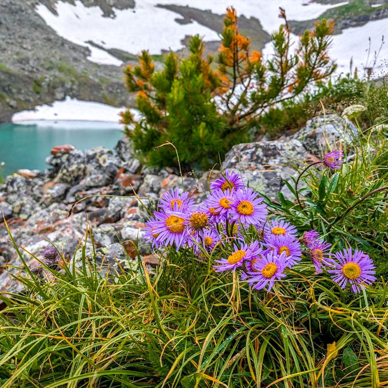 Уймон-Парк - фото 27