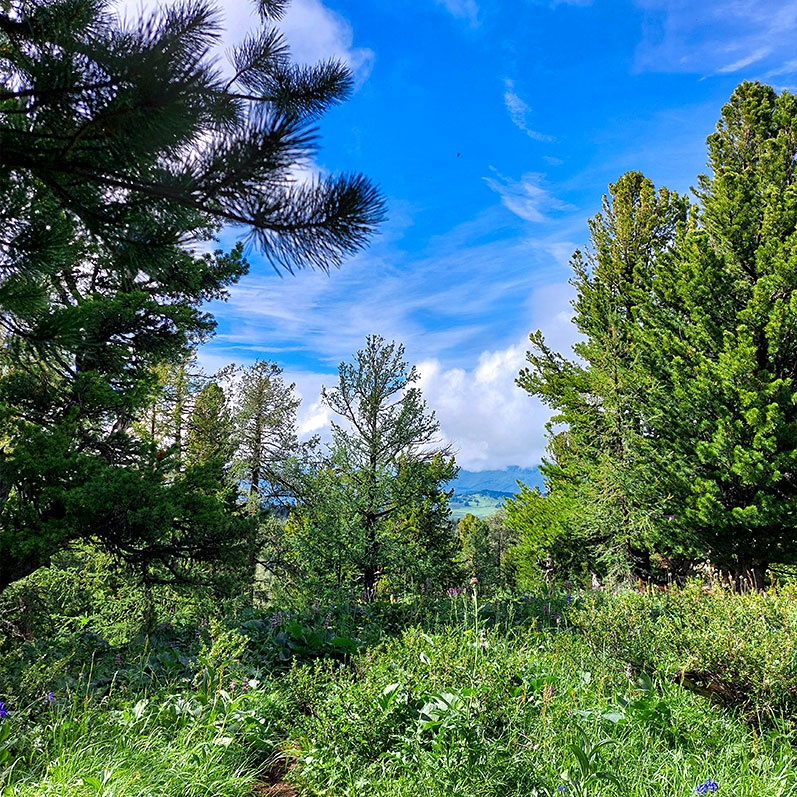 Уймон-Парк - фото 33