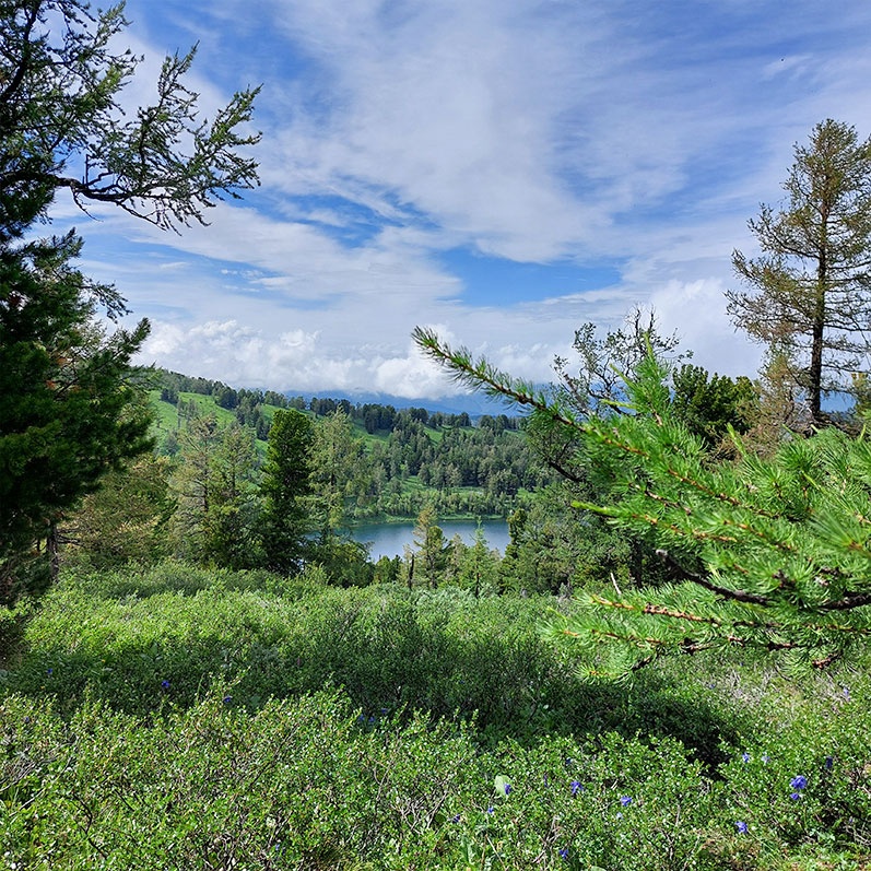 Уймон-Парк - фото 49