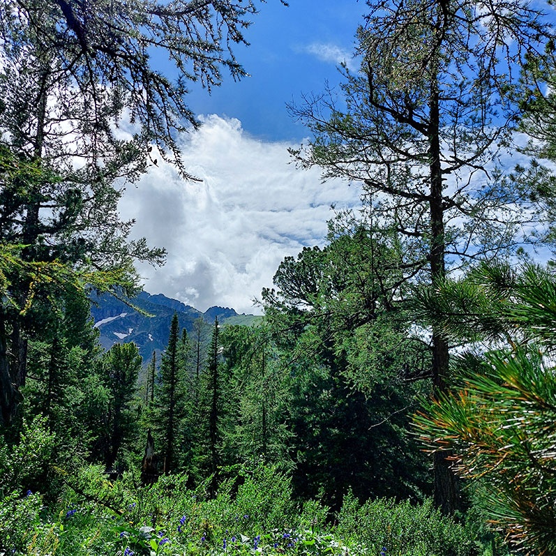 Уймон-Парк - фото 51