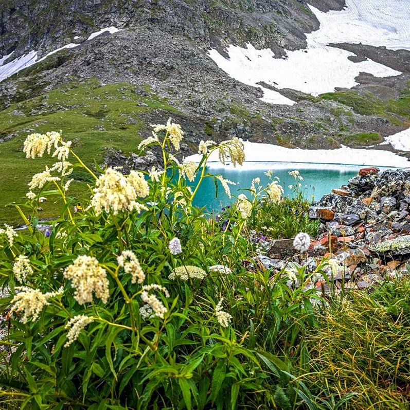 Уймон-Парк - фото 62