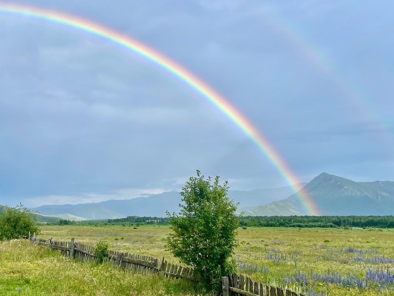 Гостевые дома - фото 14