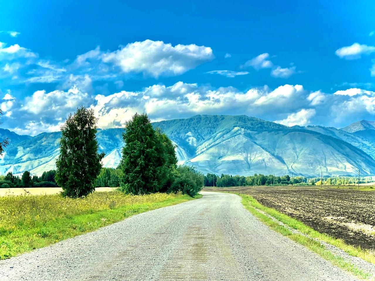 Гостевые дома - фото 15