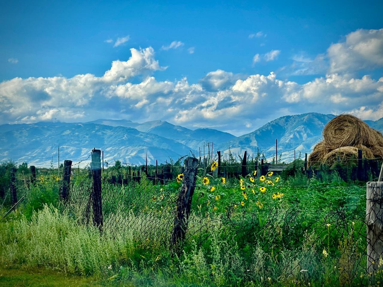 Гостевые дома - фото 21