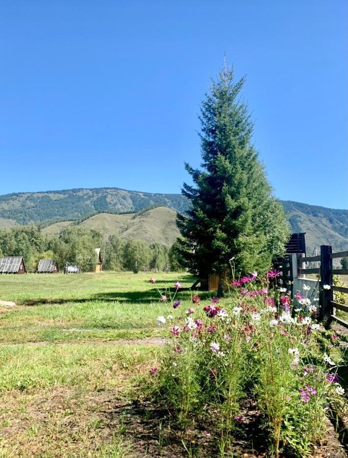 Тюнгур - фото 18