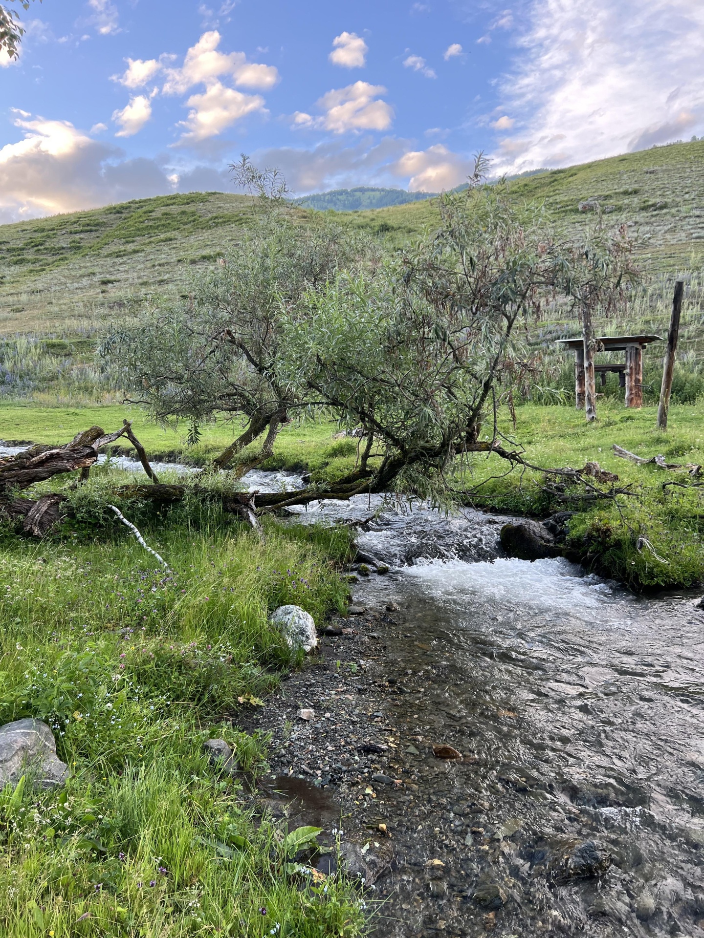 Тюнгур - фото 24