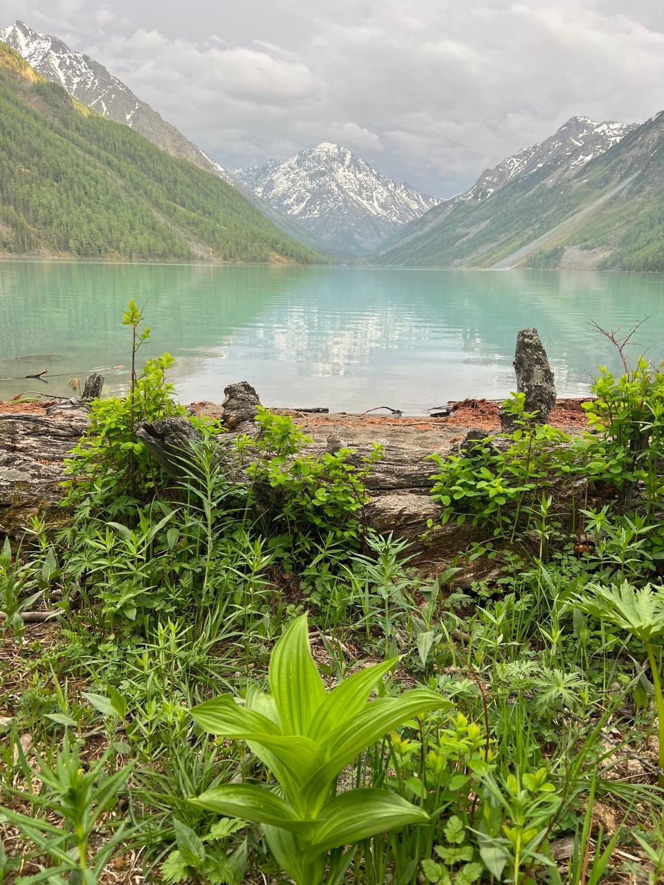 Тюнгур - фото 25