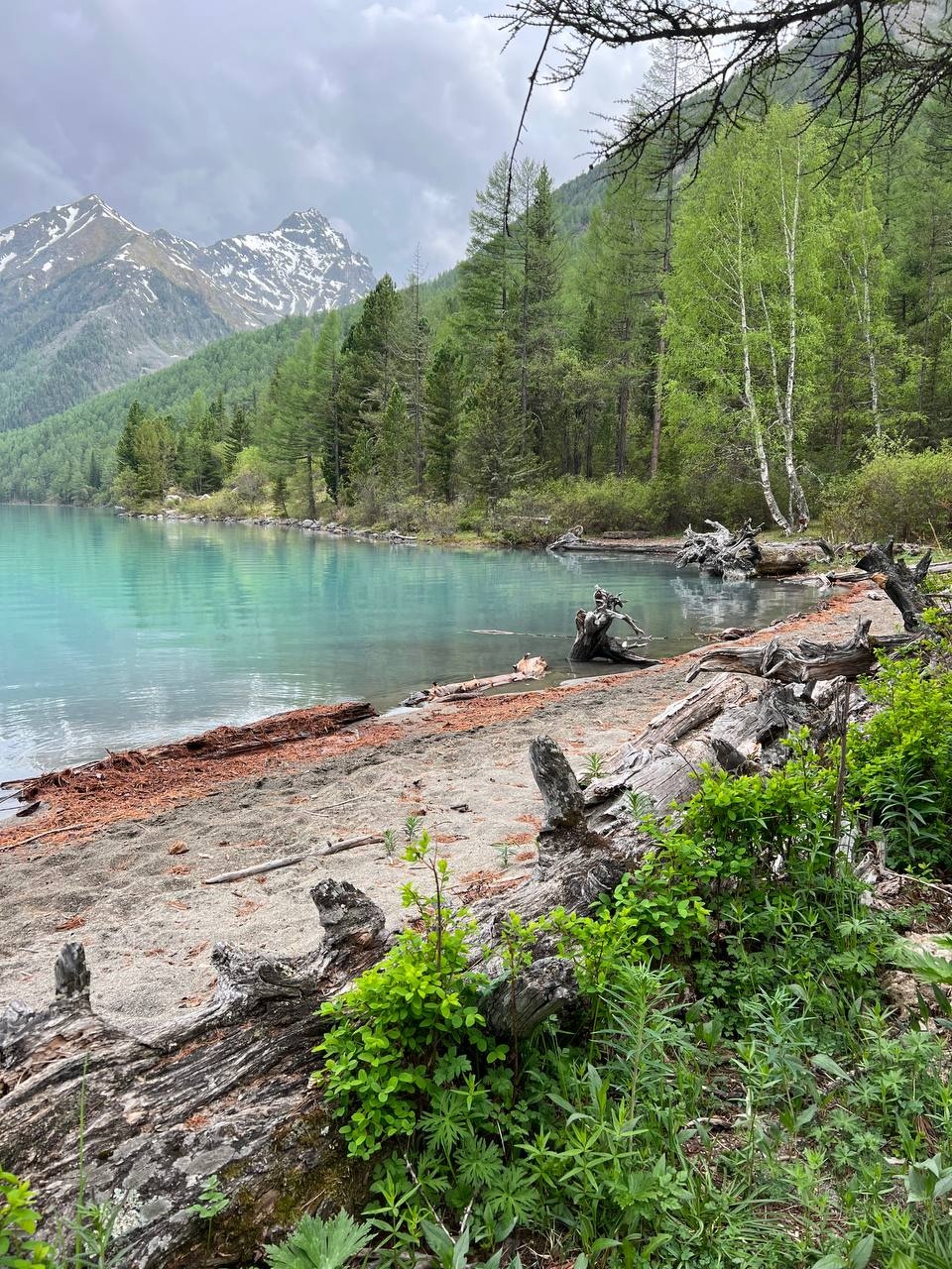 Тюнгур - фото 49