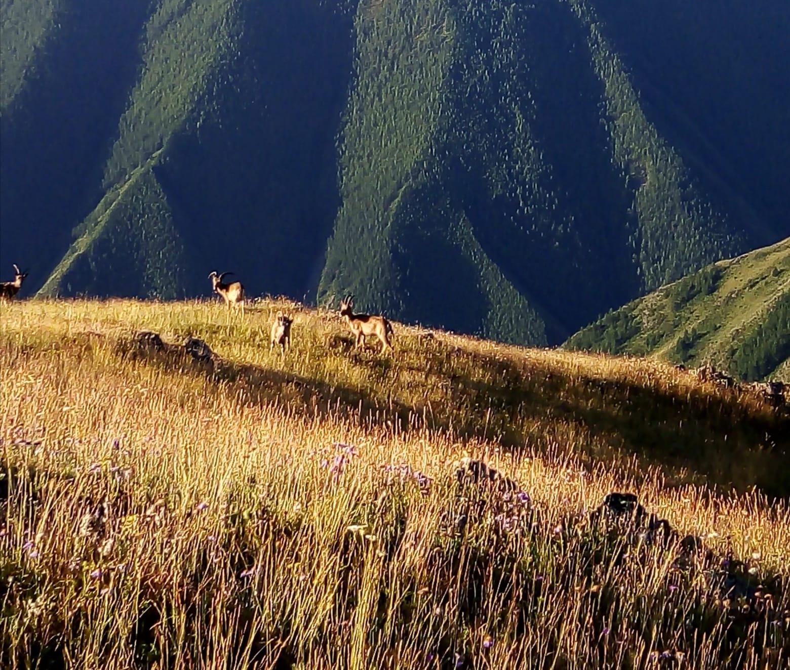 Тюнгур - фото 61