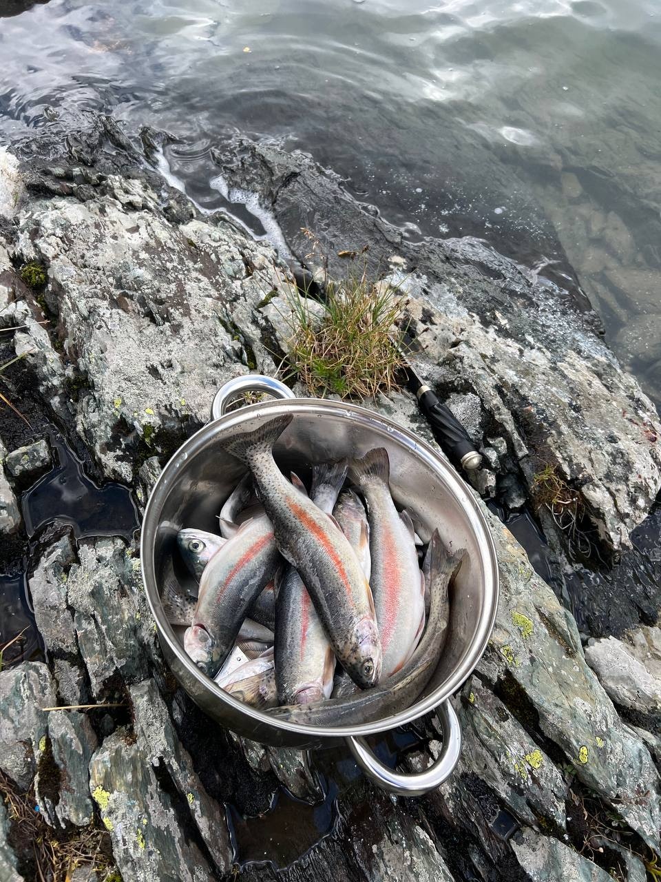 Тюнгур - фото 92