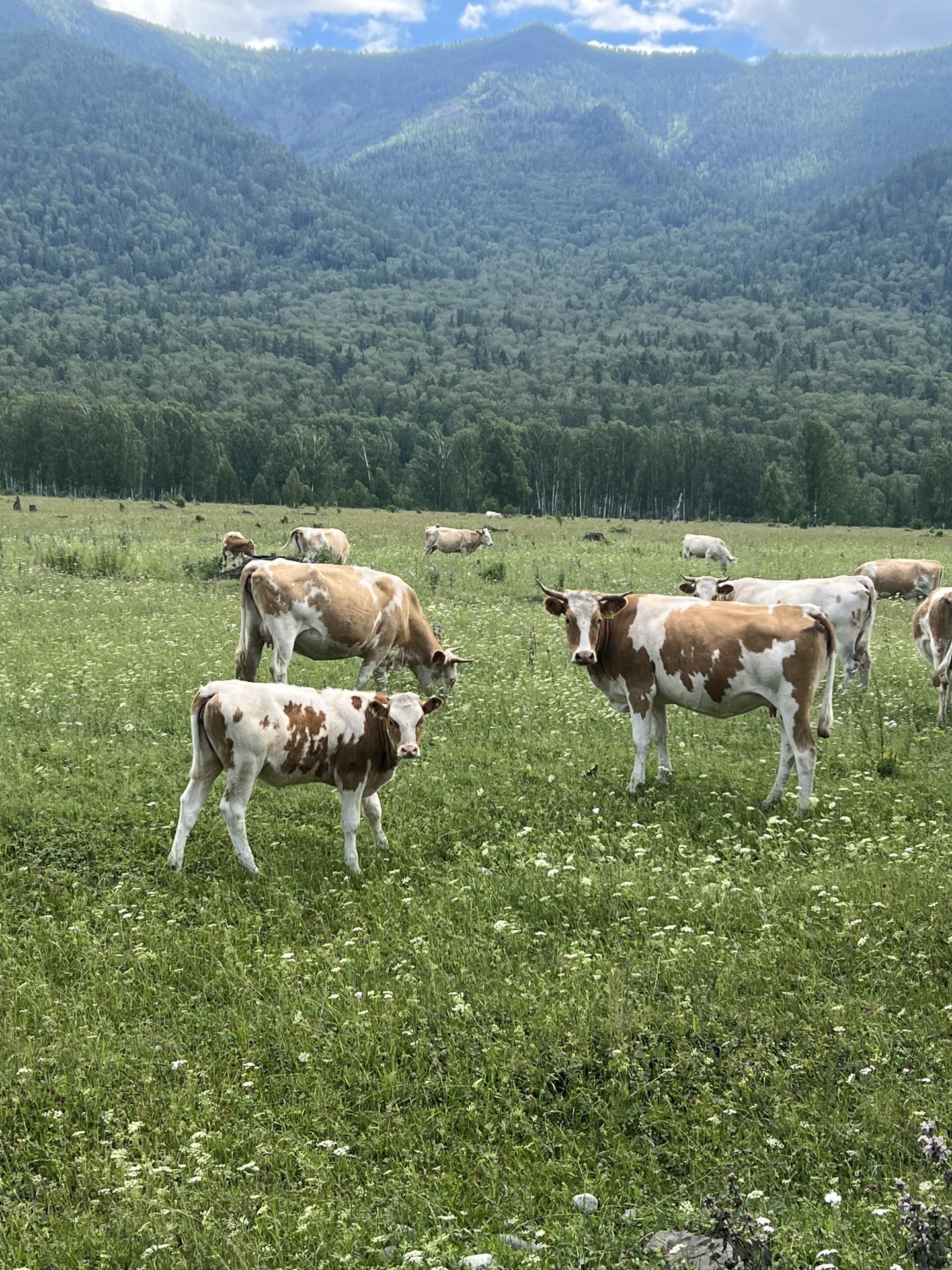 Тюнгур - фото 93