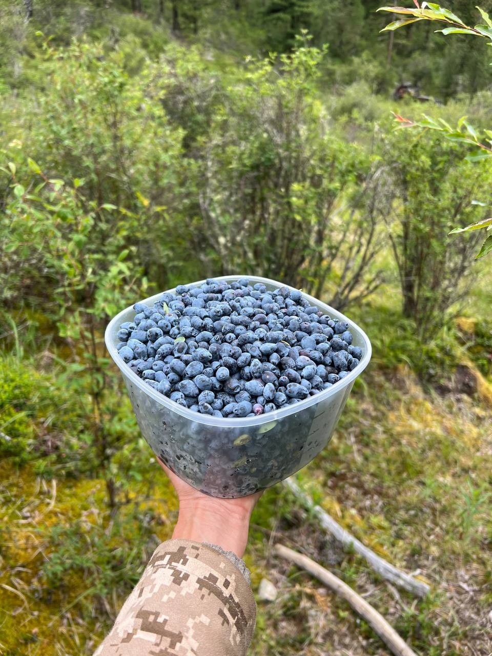 Тюнгур - фото 108